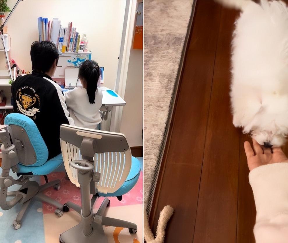 上海疫情期间的彭于晏,疫情期间居家的彭于晏