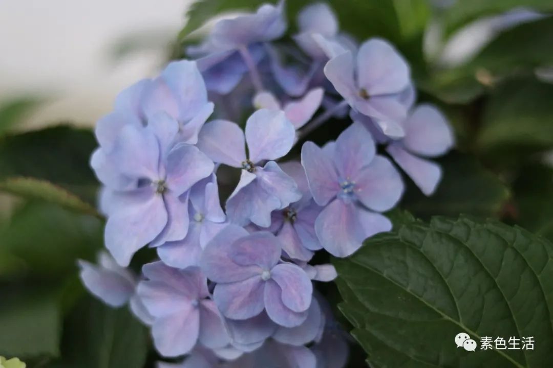 人性光辉的魅力,人性中的光辉