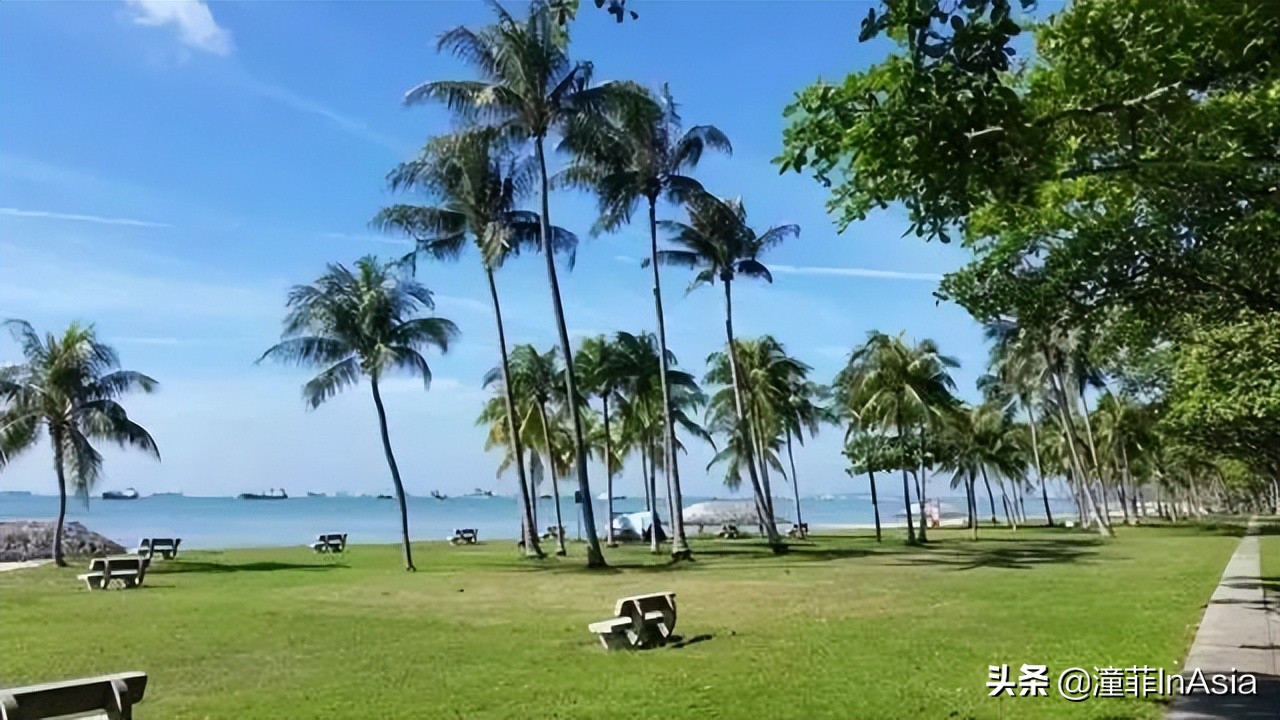 新加坡樟宜机场城市观光免费巴士,新加坡环线巴士