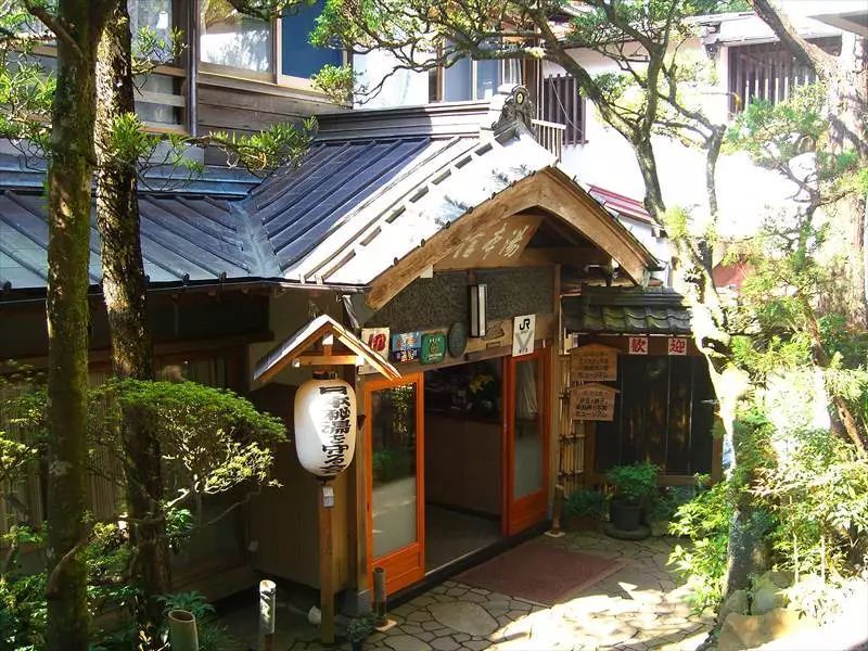 日本伊豆七彩神仙鱼,伊豆在日本哪个县