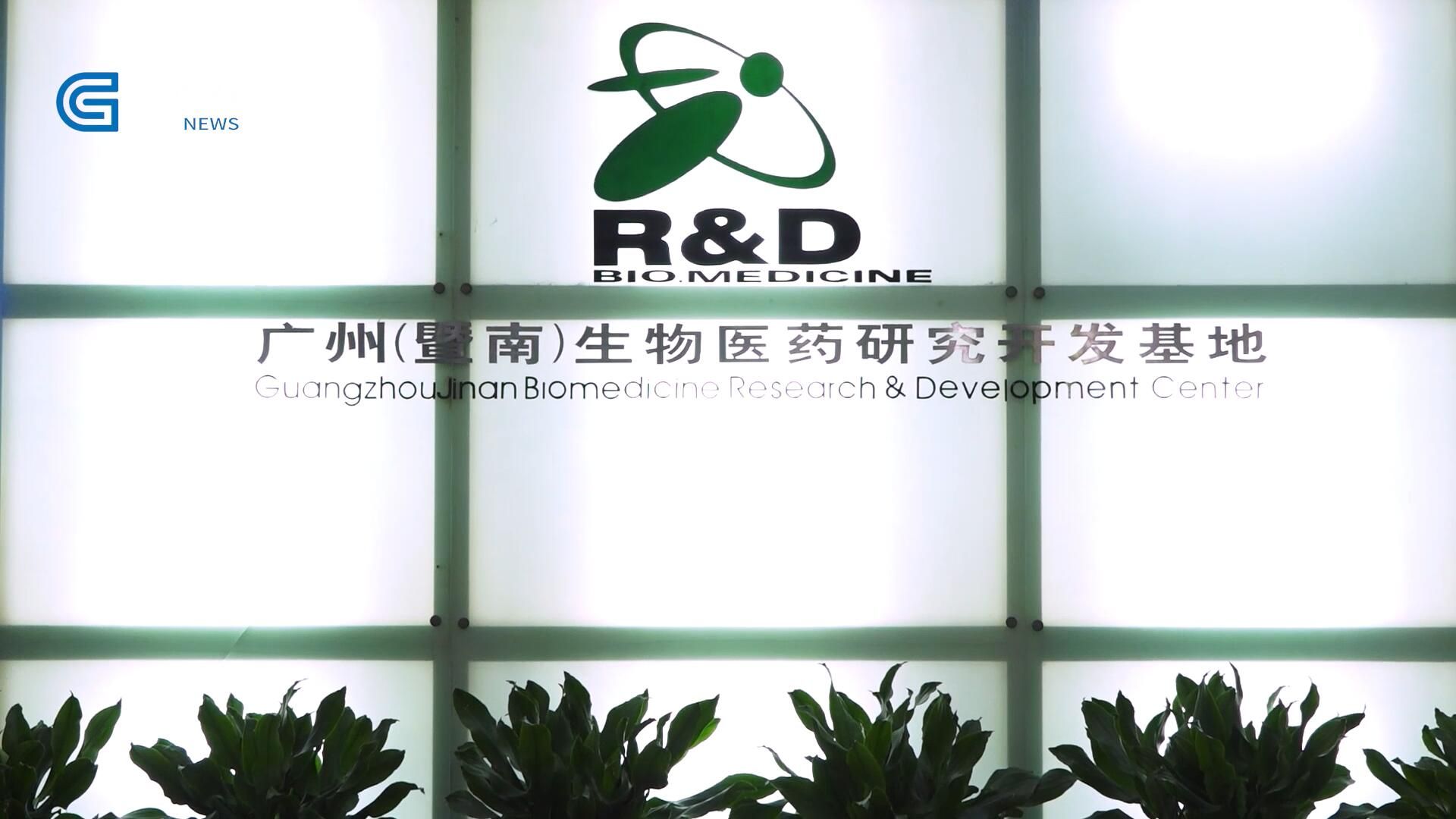 广东新焦点2024,广州新焦点新闻