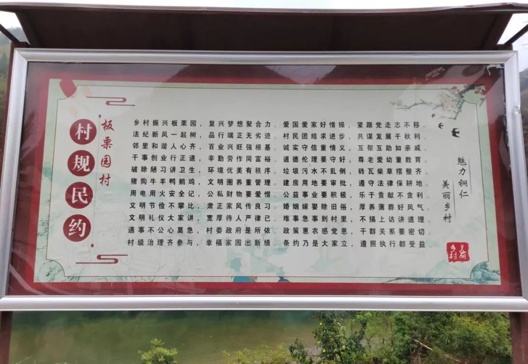 党建引领为乡村振兴注入澎湃动能,街道高标准夯实基层党建基础