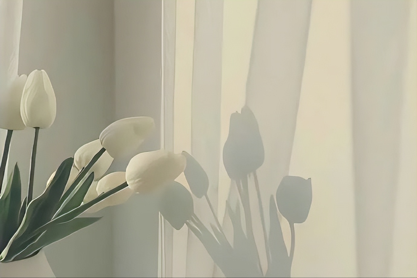 对于感情及时止损真的很重要,遇到不好的感情都要及时止损