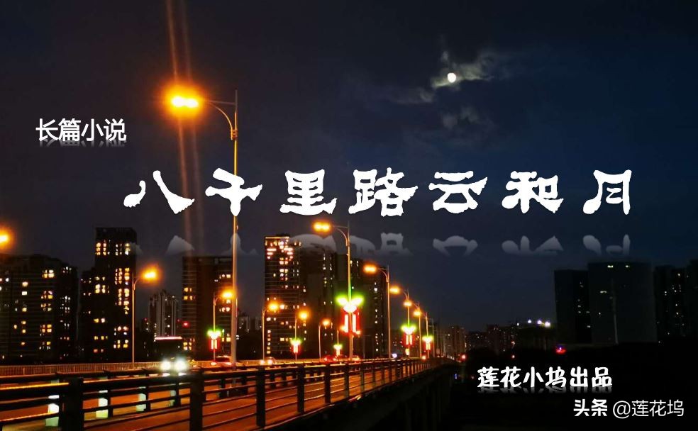 八千里路云和月第二十九集,八千里路云和月全集解说