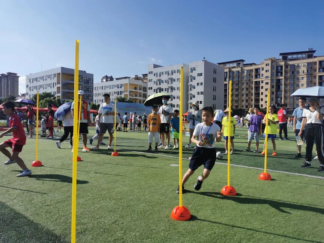 派迪茵体育产品,派迪茵体育直播