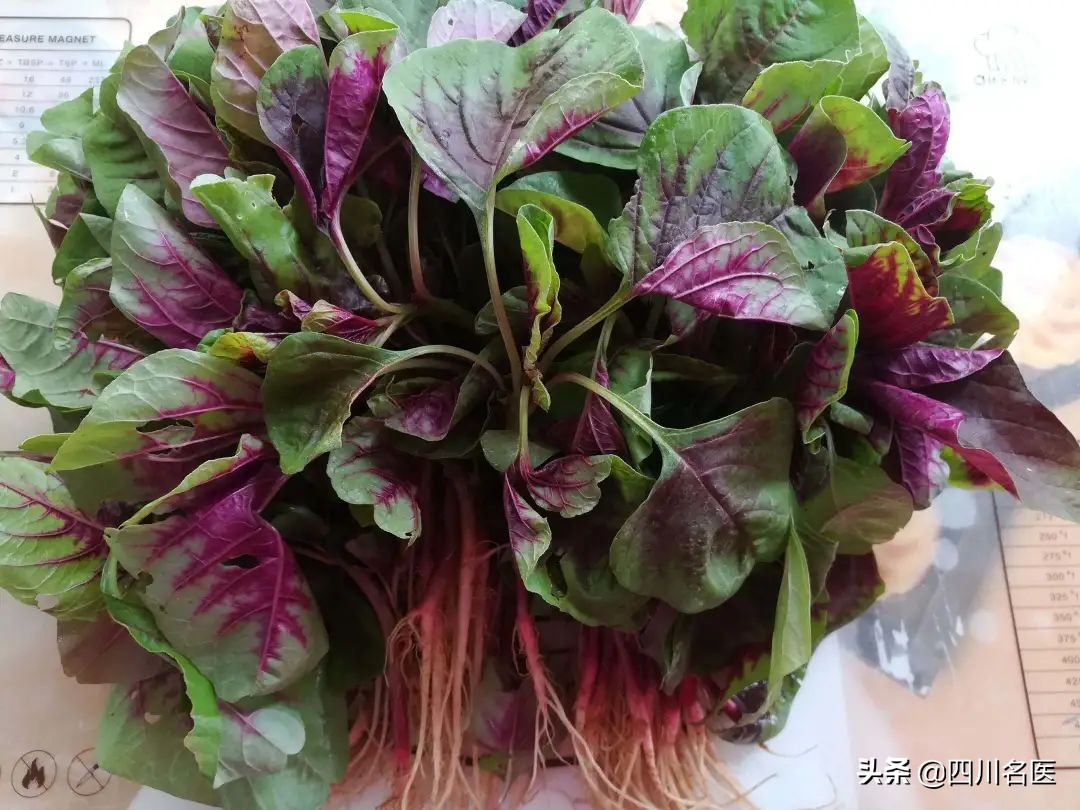 深绿色蔬菜补钙还是牛奶补钙,8种蔬菜的钙含量比牛奶还高