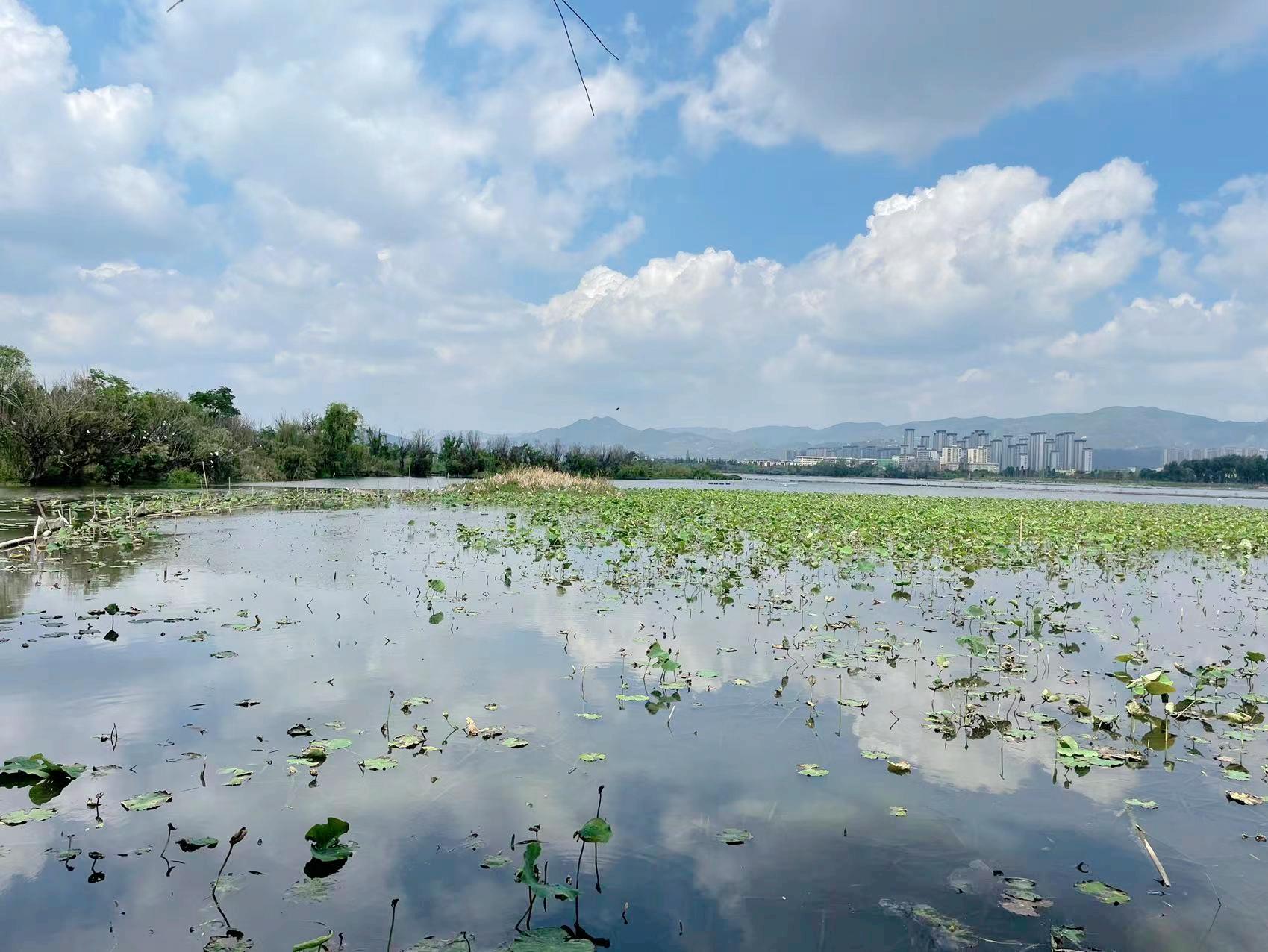 昆明草海的房子,草海富人区豪宅