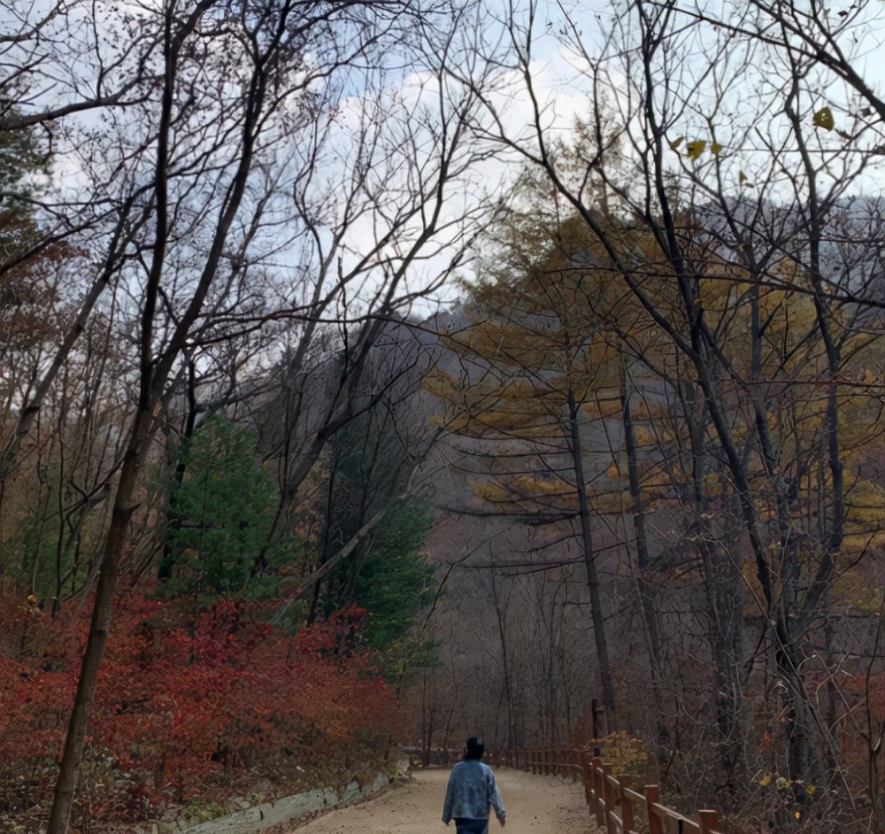 安全出行米其林轮胎,安全舒适轮胎