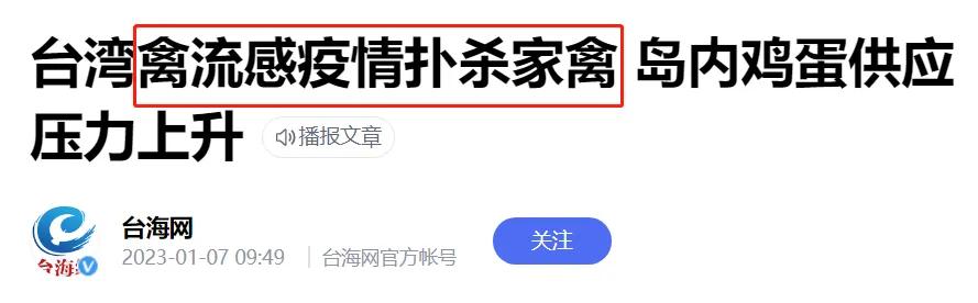 连麦当劳都无蛋可用?台湾这波缺蛋够狠