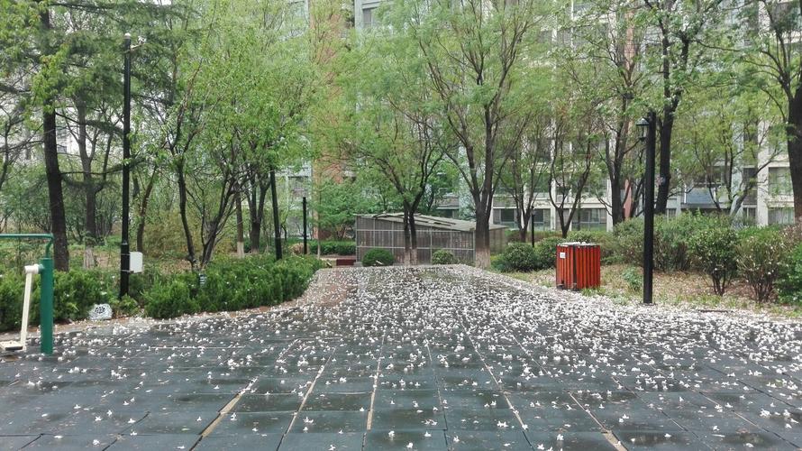 铁道兵战友聚会最好诗词,铁道兵战友诗二首