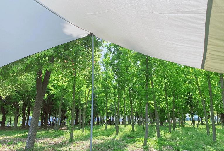 广州网红露营地推荐,新都桥网红露营地推荐