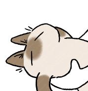 2023医疗险十大排行榜,5月最值得买的医疗险名单