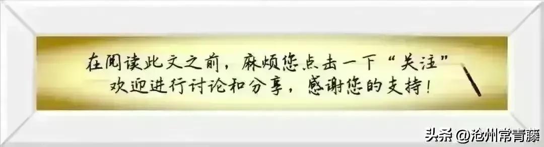 「女排赛事」6月4日收官之战:中国女排3-0击败日本队