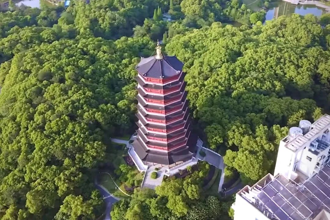 莫负*光春**|这5家希酒店旁的公园真的太美了