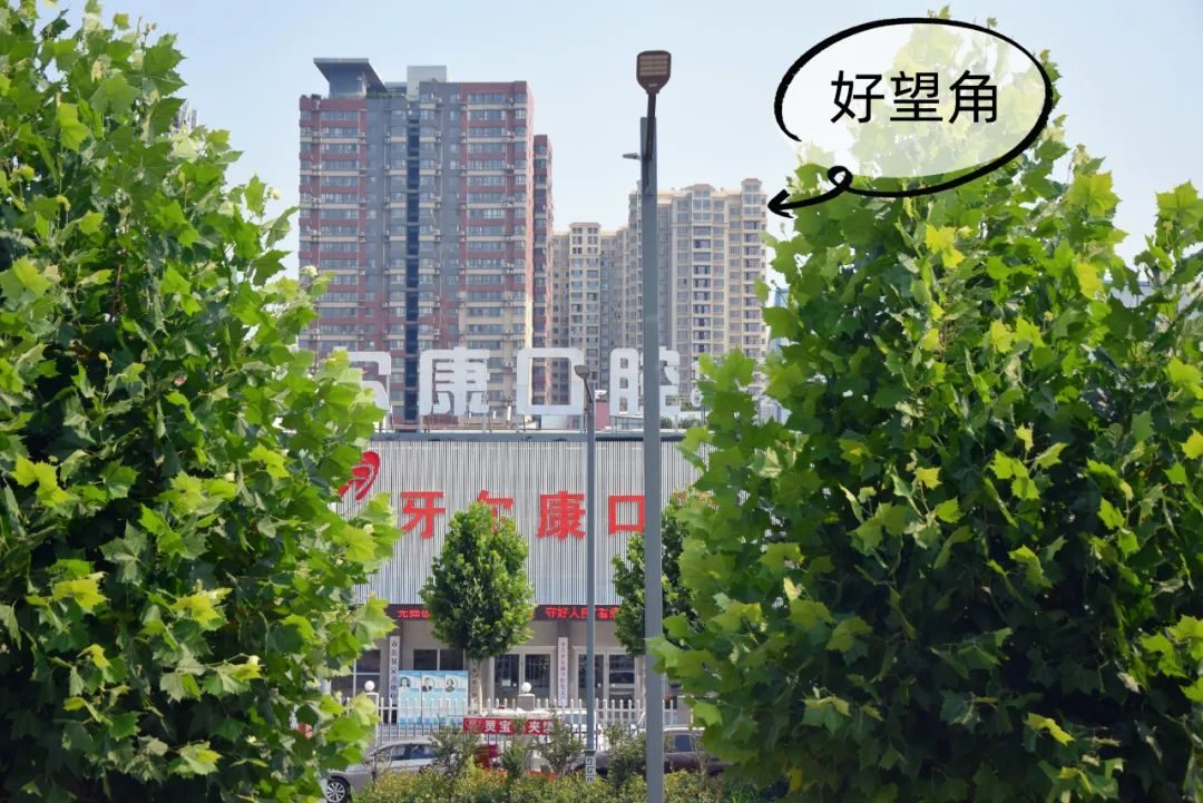 平顶山有必要买房吗,平顶山买房子买哪个片区