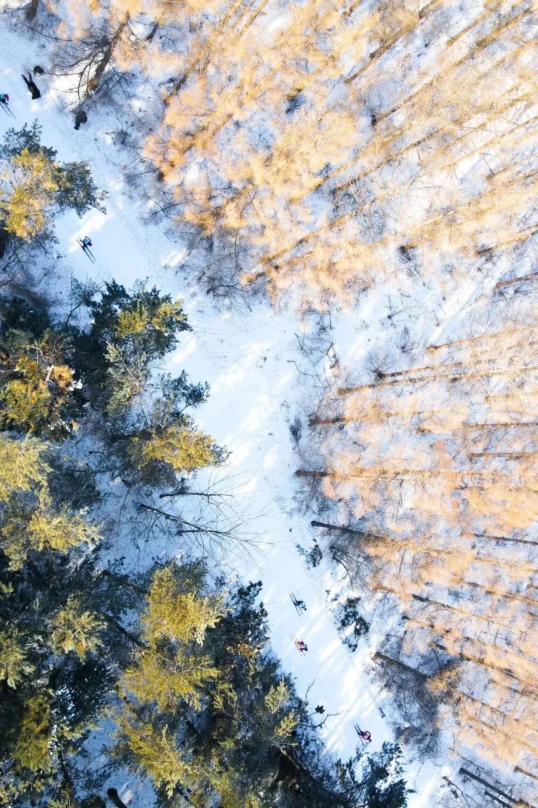 官宣开业倒计时100天,官宣开业倒计时