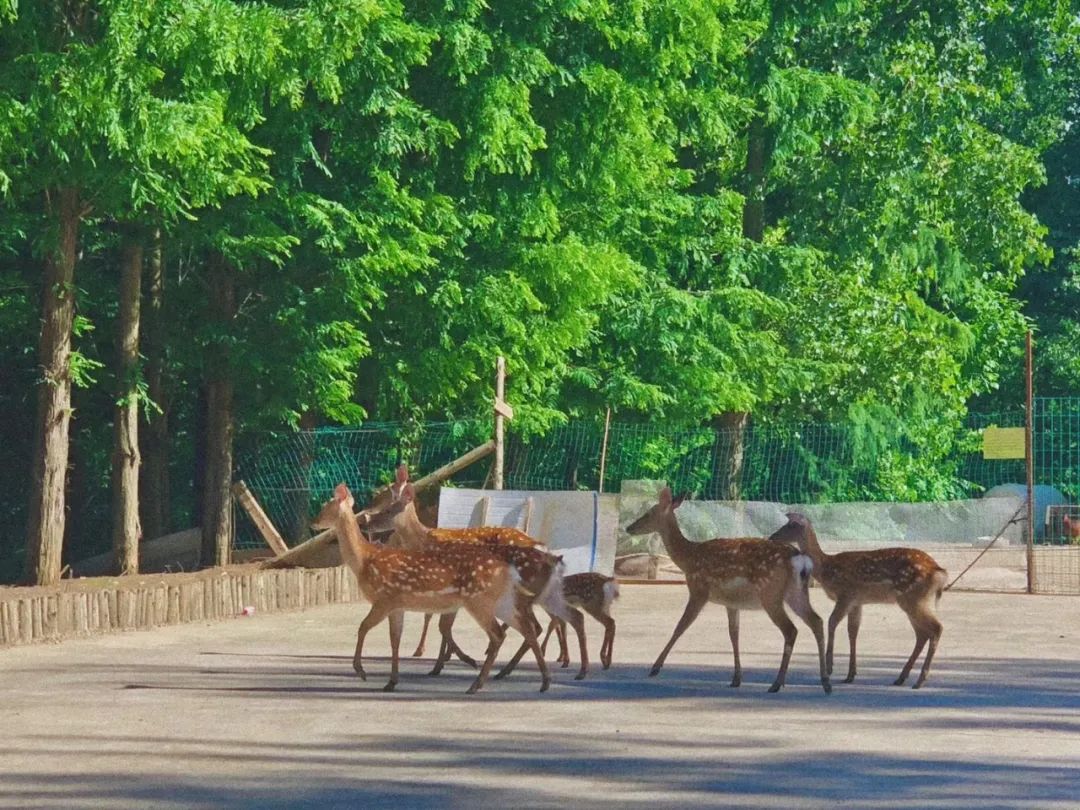 喜迎二十大之经济建设,喜迎二十大高质量发展