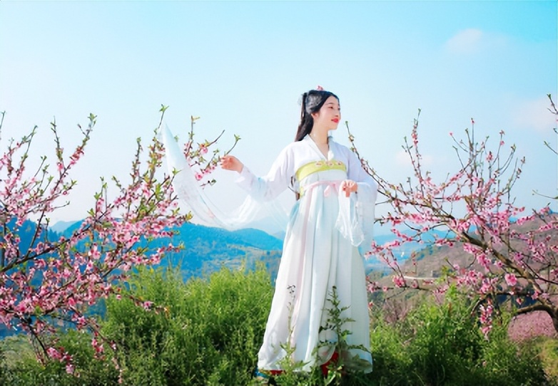 网络流行语对应的古诗词,网络流行用语对应的古诗词的意义