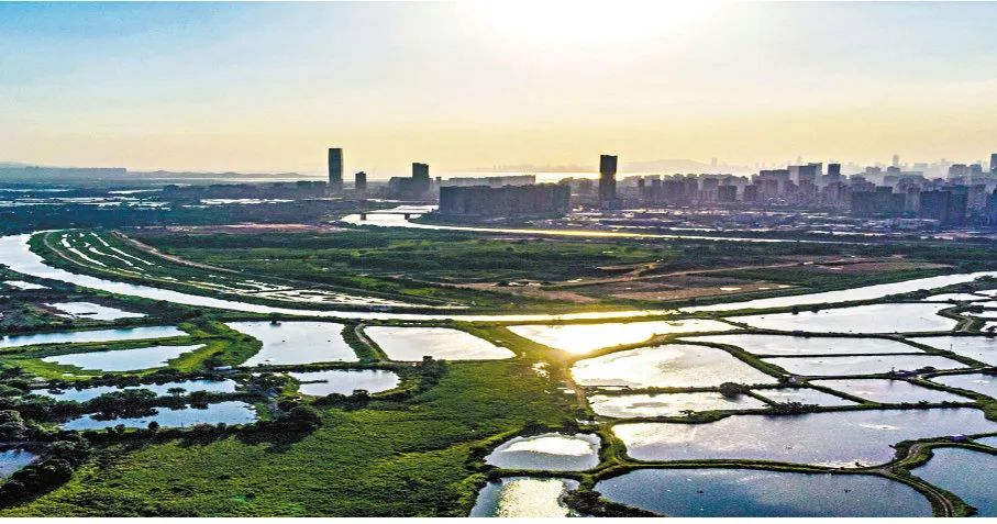 香港财政预算案利好政策总结,香港财政司2019年财政预算案