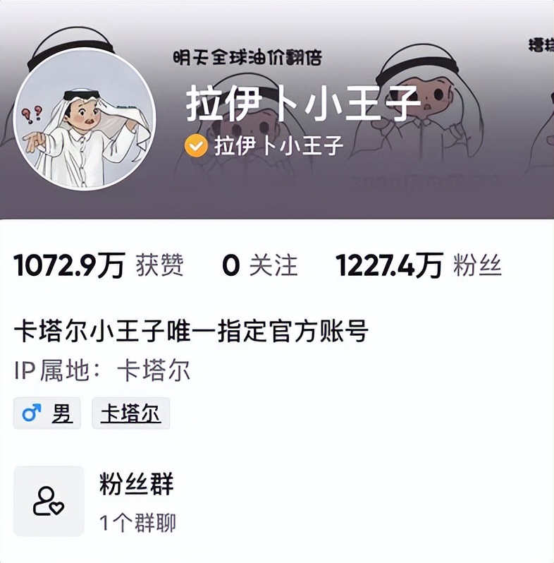 卡塔尔300亿美元,卡塔尔三公主