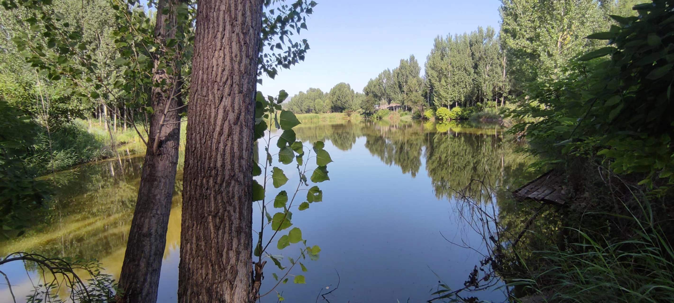 古中国考出彭蠡泽｜张笔魁