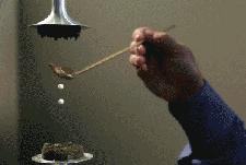 路飞觉醒后面还会有新的形态吗,路飞觉醒能力是啥