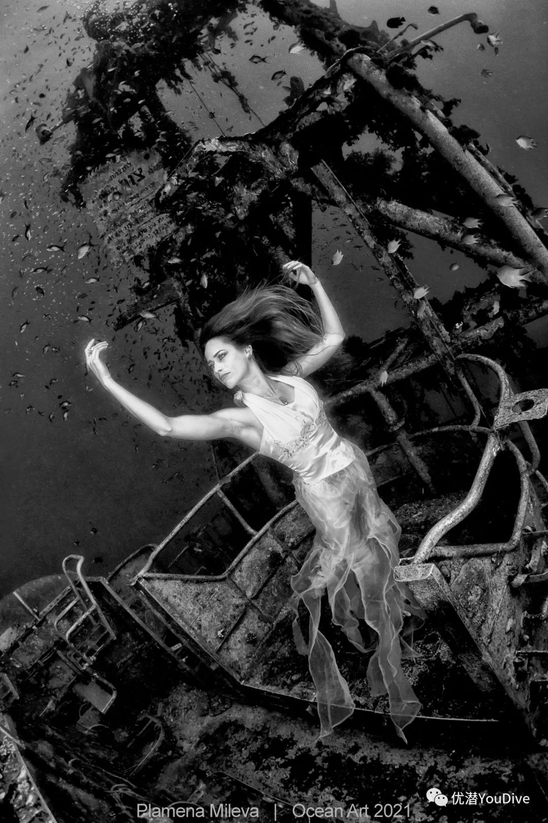 大海水下摄影作品欣赏,oceanart