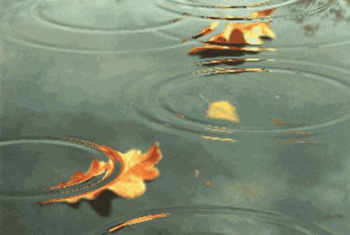 名单公布!西安入选;出行注意!这些列车有调整→【9月15日周四新闻速览一分钟】