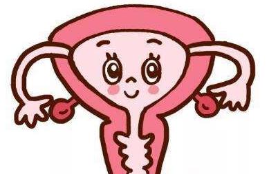 贫血是子宫肌瘤引起的吗,贫血有可能是胃出现问题吗