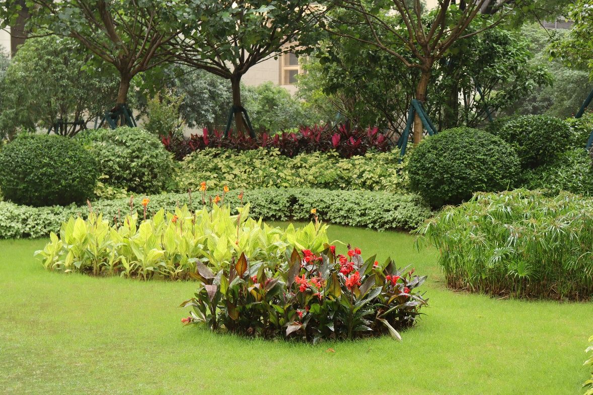 你们的小区绿化都是什么样的,小区绿化你觉得怎么样