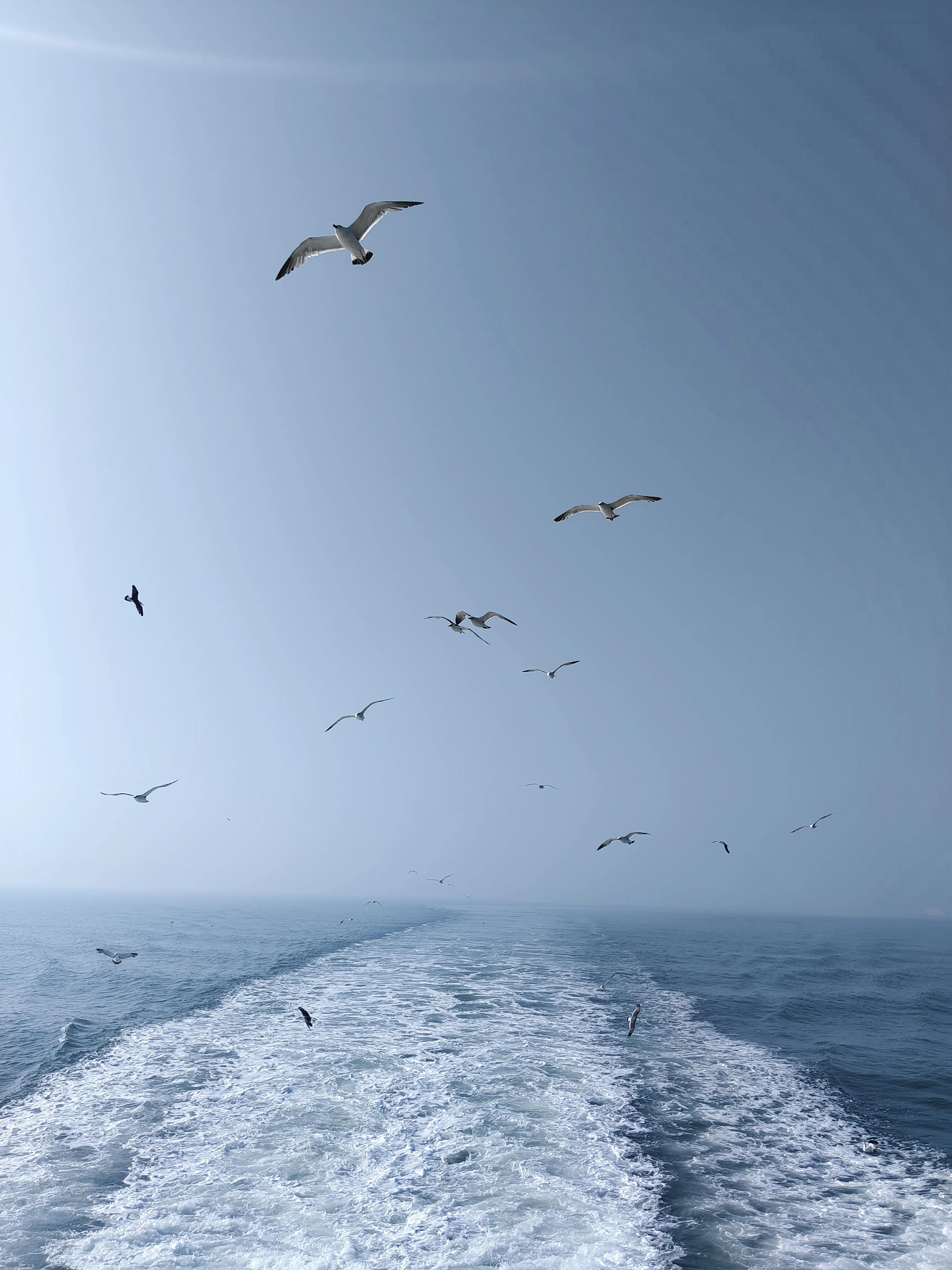 长岛旅游九丈崖,长岛一日游烟台的海