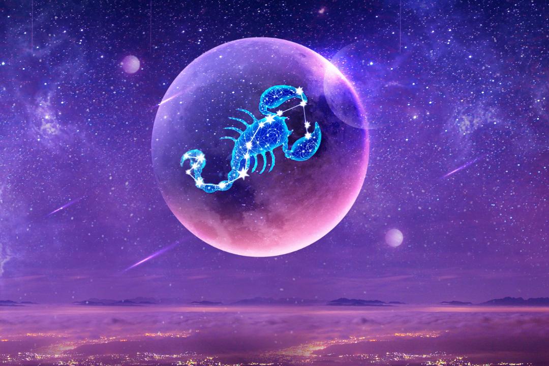 天蝎座容易成功的行业,近期天蝎座升职能成功吗