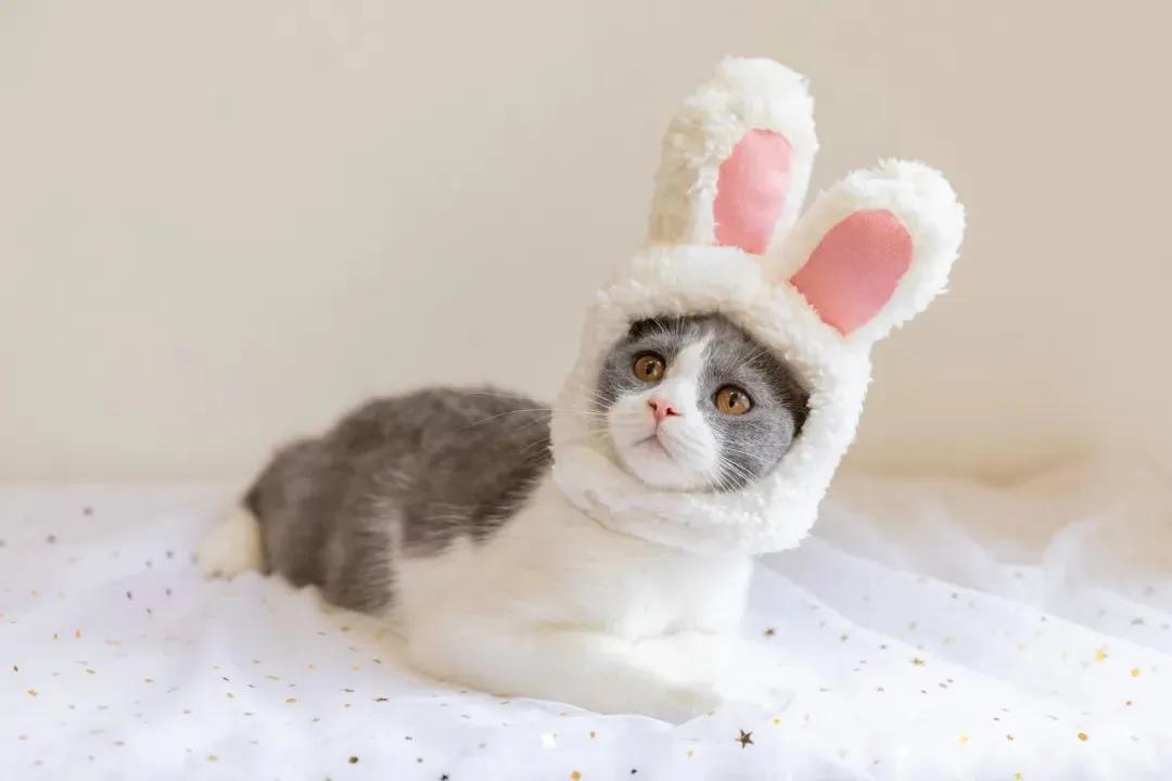 2018年度最佳幽默段子笑死啦,年度挤进前五名的幽默段子笑死了