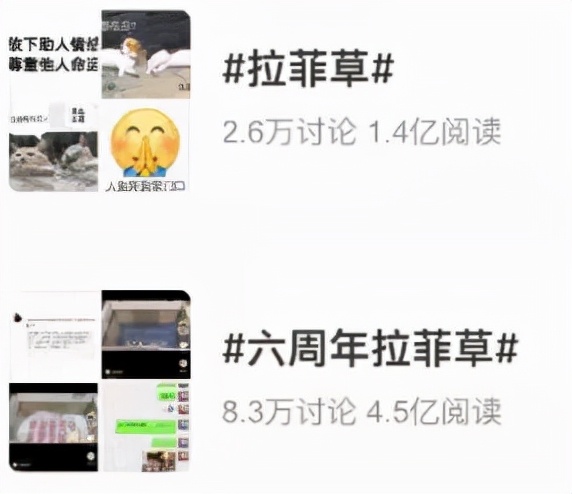 拉菲草反转,拉菲草礼物事件终极反转