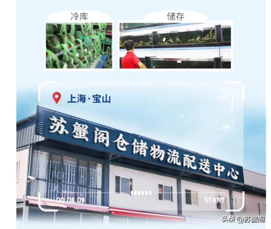 100块一只的大闸蟹是什么规格,100块的超大大闸蟹