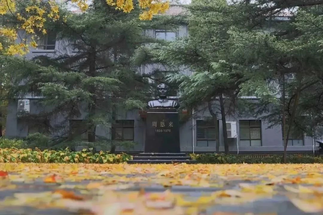 BISU出发,行走世界!欢迎报考北京第二外国语学院!