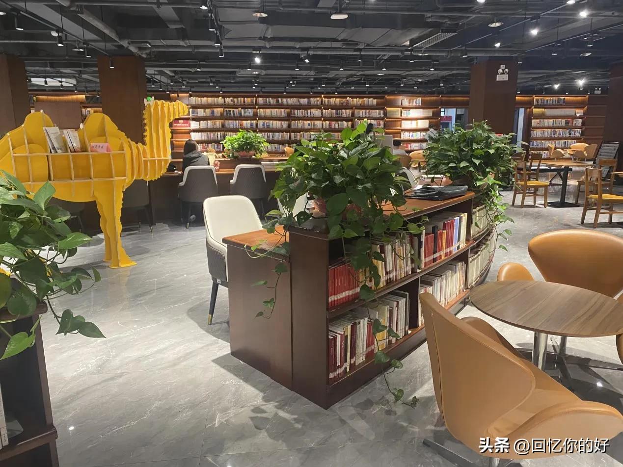 三百多分的学生适合学什么专业,三百多分能上什么外语学院