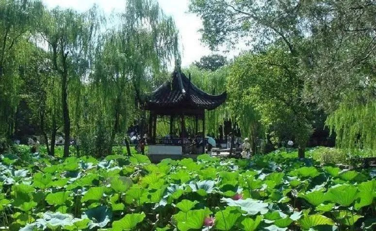 苏州旅游团七日游,苏州旅游团1日游