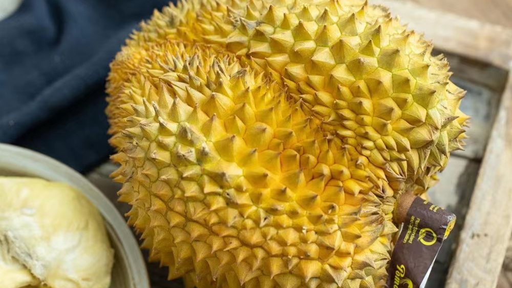 想开水果店进货渠道从哪里搞,想开个水果店进货渠道怎么找