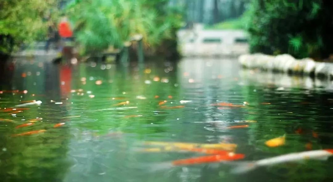 成都这些宝藏公园坐地铁就能耍,成都宝藏地铁旅游攻略