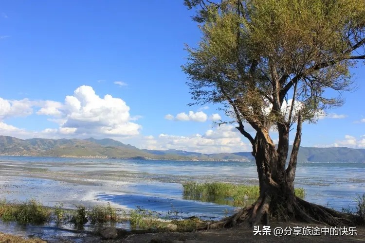 束河古镇旅行团购,束河古镇旅游团哪家好