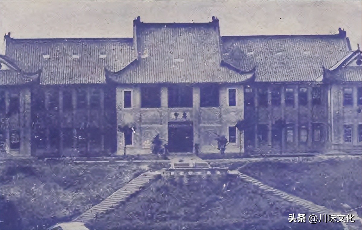 川猪变种记（中）转折