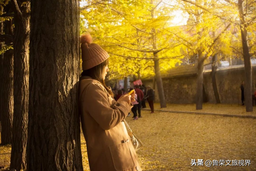 美丽的辽宁大连海边一日游,美丽海滨城市大连旅游攻略
