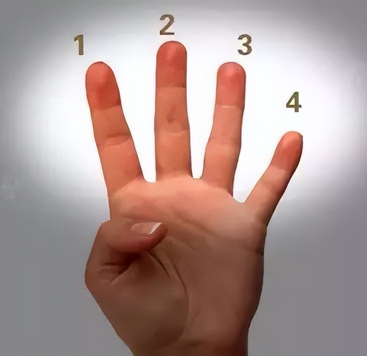 怎么学电子琴的弹法,怎么学电子琴谱