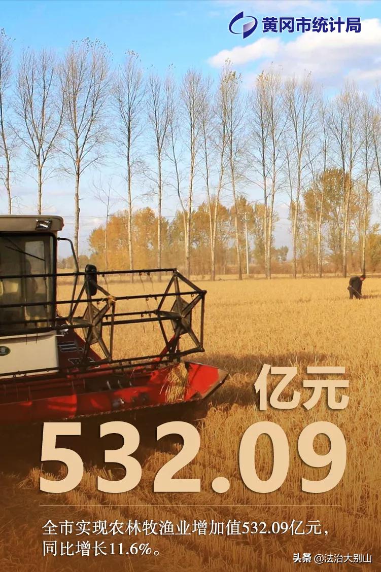 黄冈市经济强镇前十名,武汉领跑中部地区都市圈