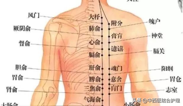 疏通全身经络拍打肝经,春天怎样调理肝经