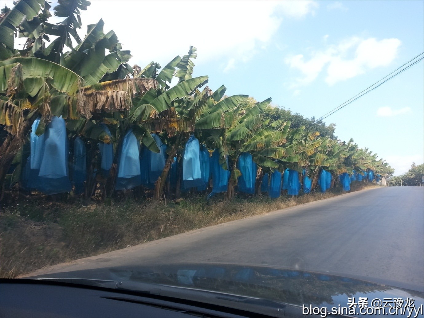 西双版纳磨憨自驾游攻略,自驾游云南版纳旅游攻略