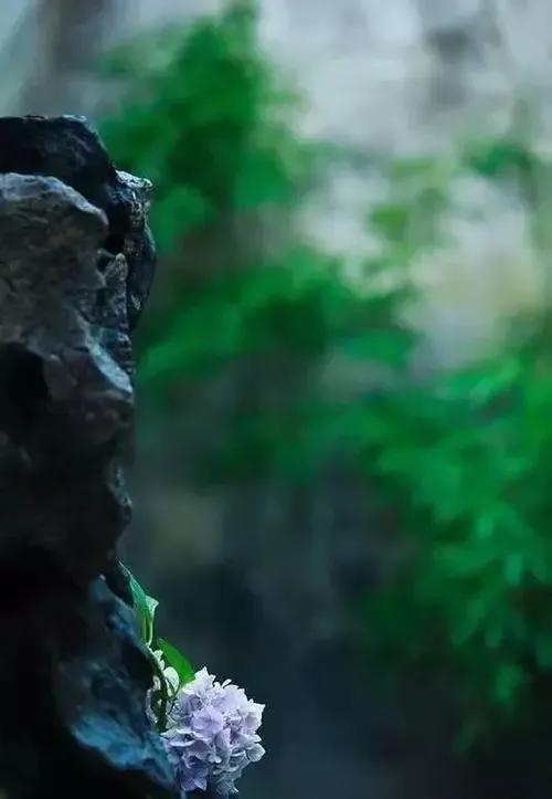 鏃跺厜娓呮祬宀佹湀鎮犵劧,宀佹湀娓呮祬鏃跺厜鎮犵劧