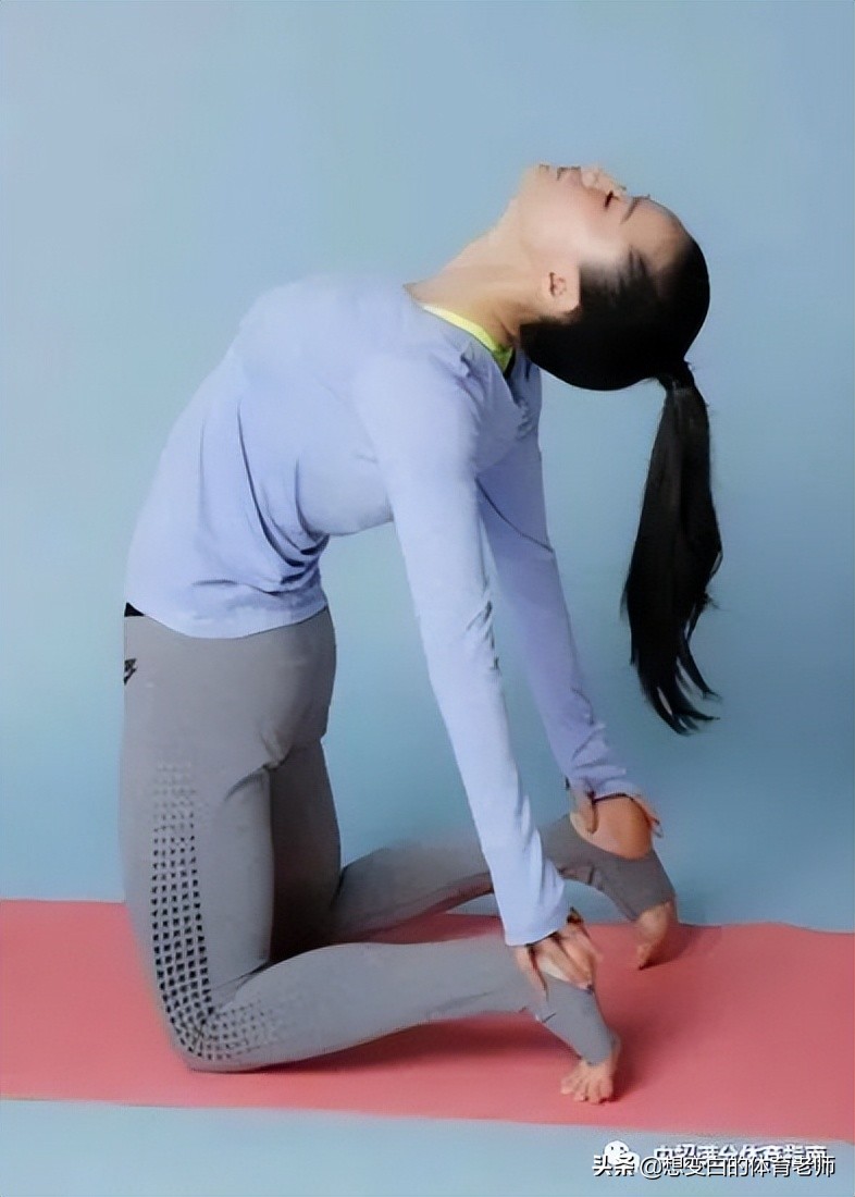 河南中考体育坐位体前屈评分标准,中考体育坐位体前屈评分标准2021