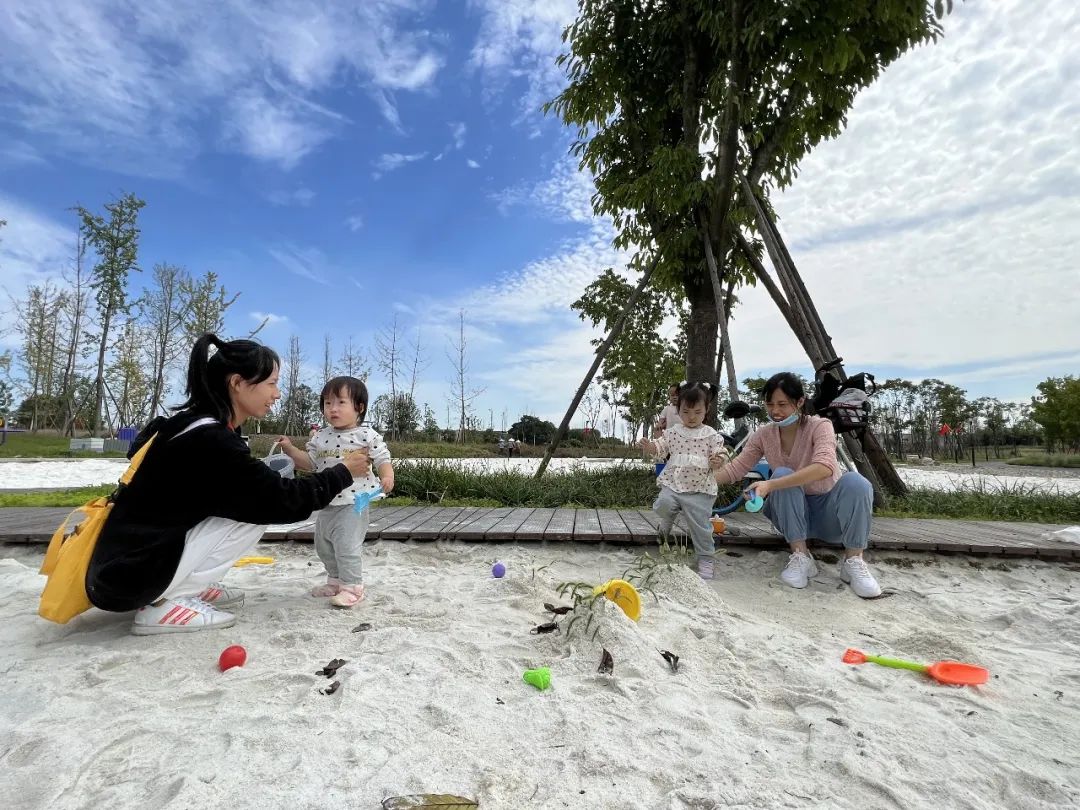 成都双流5天旅行指南,双流旅游最佳方案